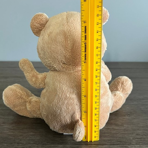 Nuby Tickle Toes Brown Teddy Bear Plush - Picture 6 of 6